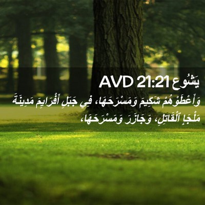Picture 02 - يَشُوع 21:21 AVD - وَأَعْطَوْهُمْ شَكِيمَ - Bible Verse Picture
