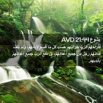 Picture 02 - يَشُوع 21:44 AVD - فَأَرَاحَهُمُ ٱلرَّبُّ - Bible Verse Picture