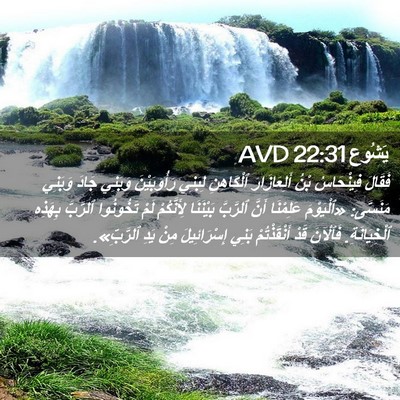 Picture 02 - يَشُوع 22:31 AVD - فَقَالَ فِينْحَاسُ بْنُ - Bible Verse Picture