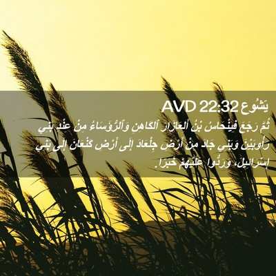 Picture 02 - يَشُوع 22:32 AVD - ثُمَّ رَجَعَ فِينْحَاسُ - Bible Verse Picture