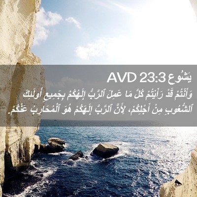 Picture 02 - يَشُوع 23:3 AVD - وَأَنْتُمْ قَدْ - Bible Verse Picture