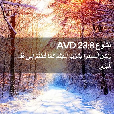 Picture 02 - يَشُوع 23:8 AVD - وَلَكِنِ ٱلْصَقُوا - Bible Verse Picture