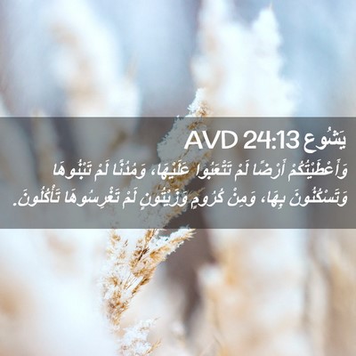 Picture 02 - يَشُوع 24:13 AVD - وَأَعْطَيْتُكُمْ أَرْضًا - Bible Verse Picture