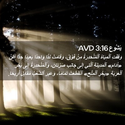 Picture 02 - يَشُوع 3:16 AVD - وَقَفَتِ ٱلْمِيَاهُ - Bible Verse Picture