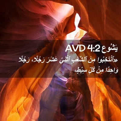 Picture 02 - يَشُوع 4:2 AVD - «ٱنْتَخِبُوا مِنَ - Bible Verse Picture