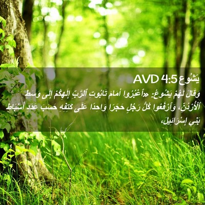 Picture 02 - يَشُوع 4:5 AVD - وَقَالَ لَهُمْ يَشُوعُ: - Bible Verse Picture