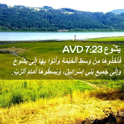 Picture 02 - يَشُوع 7:23 AVD - فَأَخَذُوهَا مِنْ وَسَطِ - Bible Verse Picture