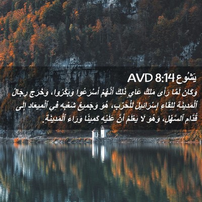 Picture 02 - يَشُوع 8:14 AVD - وَكَانَ لَمَّا رَأَى - Bible Verse Picture