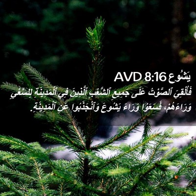 Picture 02 - يَشُوع 8:16 AVD - فَأُلْقِيَ ٱلصَّوْتُ - Bible Verse Picture