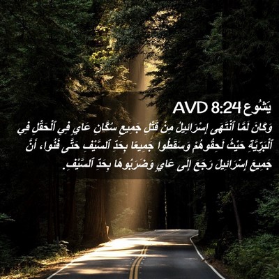 Picture 02 - يَشُوع 8:24 AVD - وَكَانَ لَمَّا ٱنْتَهَى - Bible Verse Picture