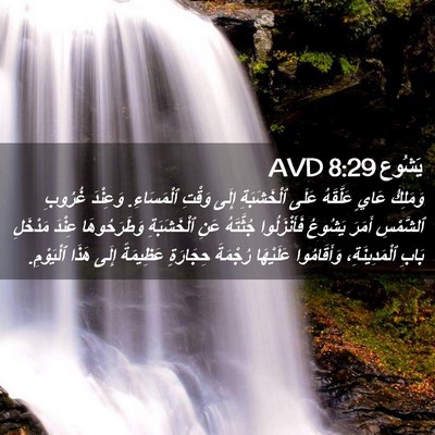 Picture 02 - يَشُوع 8:29 AVD - وَمَلِكُ عَايٍ عَلَّقَهُ - Bible Verse Picture