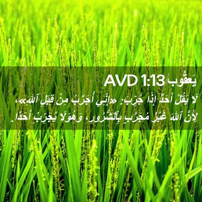 Picture 02 - يَعقُوب 1:13 AVD - لَا يَقُلْ أَحَدٌ إِذَا - Bible Verse Picture