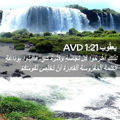 Picture 02 - يَعقُوب 1:21 AVD - لِذَلِكَ ٱطْرَحُوا كُلَّ - Bible Verse Picture