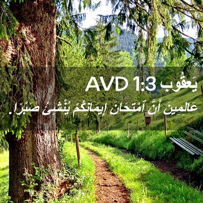 Picture 02 - يَعقُوب 1:3 AVD - عَالِمِينَ أَنَّ - Bible Verse Picture