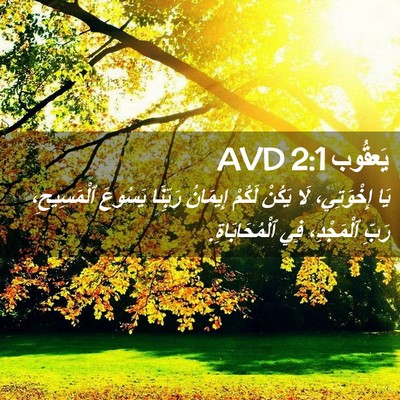 Picture 02 - يَعقُوب 2:1 AVD - يَا إِخْوَتِي، لَا يَكُنْ - Bible Verse Picture