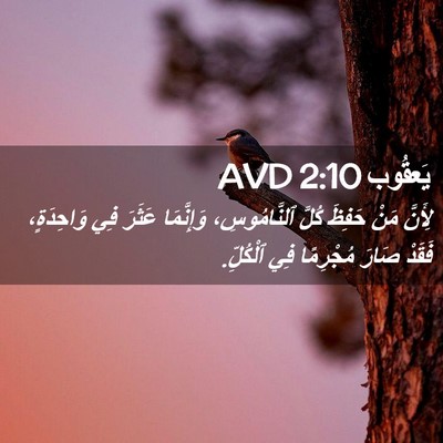 Picture 02 - يَعقُوب 2:10 AVD - لِأَنَّ مَنْ حَفِظَ كُلَّ - Bible Verse Picture