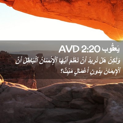 Picture 02 - يَعقُوب 2:20 AVD - وَلَكِنْ هَلْ تُرِيدُ أَنْ - Bible Verse Picture