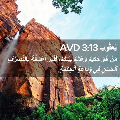 Picture 02 - يَعقُوب 3:13 AVD - مَنْ هُوَ حَكِيمٌ - Bible Verse Picture