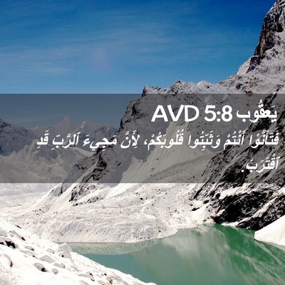 Picture 02 - يَعقُوب 5:8 AVD - فَتَأَنَّوْا أَنْتُمْ - Bible Verse Picture