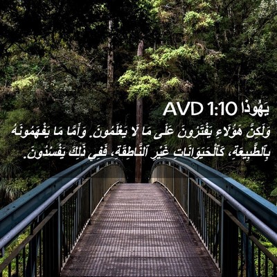 Picture 02 - يَهُوذا 1:10 AVD - وَلَكِنَّ هَؤُلَاءِ - Bible Verse Picture