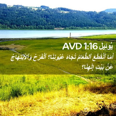 Picture 02 - يُوئِيل 1:16 AVD - أَمَا ٱنْقَطَعَ - Bible Verse Picture