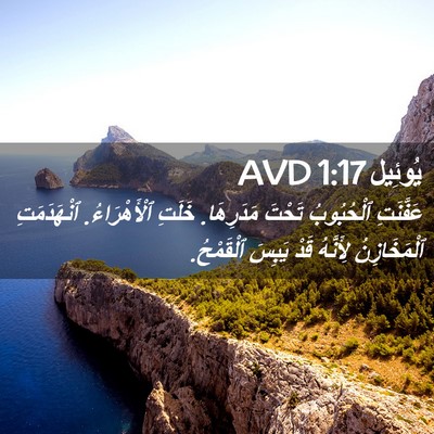 Picture 02 - يُوئِيل 1:17 AVD - عَفَّنَتِ ٱلْحُبُوبُ - Bible Verse Picture