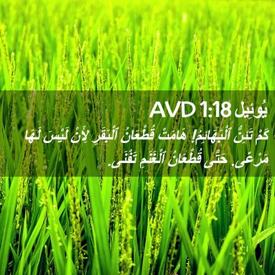 Picture 02 - يُوئِيل 1:18 AVD - كَمْ تَئِنُّ ٱلْبَهَائِمُ! - Bible Verse Picture