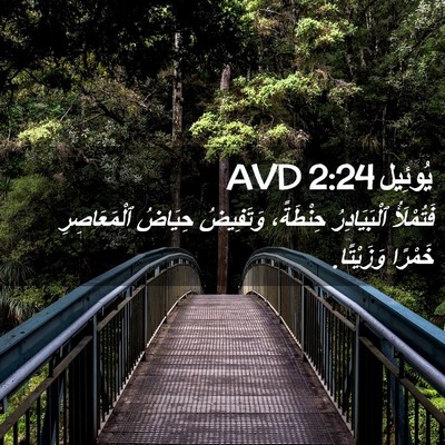 Picture 02 - يُوئِيل 2:24 AVD - فَتُمْلَأُ ٱلْبَيَادِرُ - Bible Verse Picture