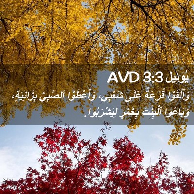 Picture 02 - يُوئِيل 3:3 AVD - وَأَلْقَوْا قُرْعَةً - Bible Verse Picture