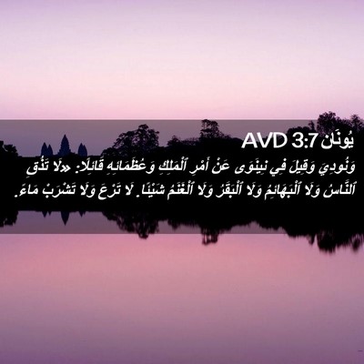 Picture 02 - يُونَان 3:7 AVD - وَنُودِيَ وَقِيلَ فِي - Bible Verse Picture