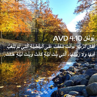 Picture 02 - يُونَان 4:10 AVD - فَقَالَ ٱلرَّبُّ: «أَنْتَ - Bible Verse Picture