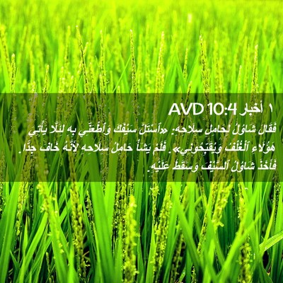 Picture 02 - ١ أخبار 10:4 AVD - فَقَالَ شَاوُلُ لِحَامِلِ - Bible Verse Picture