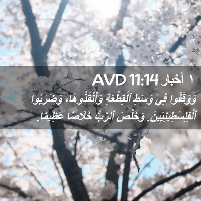 Picture 02 - ١ أخبار 11:14 AVD - وَوَقَفُوا فِي وَسَطِ - Bible Verse Picture
