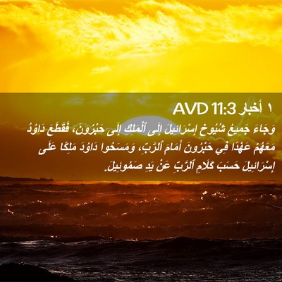 Picture 02 - ١ أخبار 11:3 AVD - وَجَاءَ جَمِيعُ شُيُوخِ - Bible Verse Picture