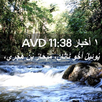 Picture 02 - ١ أخبار 11:38 AVD - يُوئِيلُ أَخُو نَاثَانَ، - Bible Verse Picture
