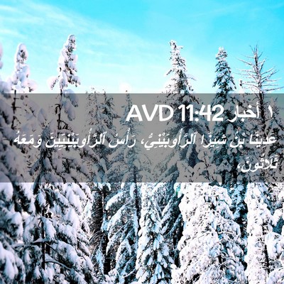 Picture 02 - ١ أخبار 11:42 AVD - عَدِينَا بْنُ شِيزَا - Bible Verse Picture