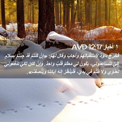 Picture 02 - ١ أخبار 12:17 AVD - فَخَرَجَ دَاوُدُ - Bible Verse Picture