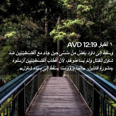 Picture 02 - ١ أخبار 12:19 AVD - وَسَقَطَ إِلَى دَاوُدَ - Bible Verse Picture