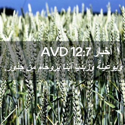 Picture 02 - ١ أخبار 12:7 AVD - وَيُوعِيلَةُ وَزَبَدْيَا - Bible Verse Picture