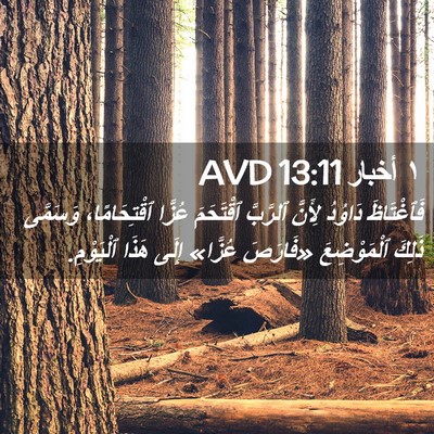 Picture 02 - ١ أخبار 13:11 AVD - فَٱغْتَاظَ دَاوُدُ - Bible Verse Picture