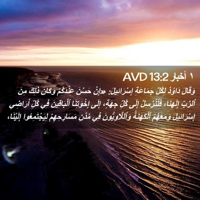 Picture 02 - ١ أخبار 13:2 AVD - وَقَالَ دَاوُدُ لِكُلِّ - Bible Verse Picture