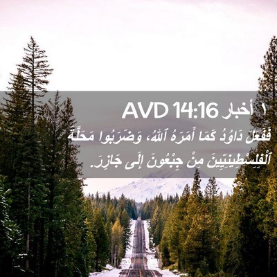 Picture 02 - ١ أخبار 14:16 AVD - فَفَعَلَ دَاوُدُ كَمَا - Bible Verse Picture