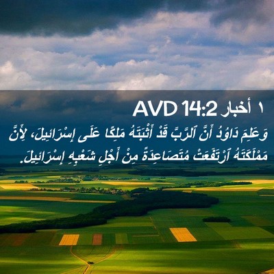 Picture 02 - ١ أخبار 14:2 AVD - وَعَلِمَ دَاوُدُ أَنَّ - Bible Verse Picture