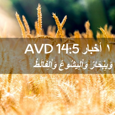 Picture 02 - ١ أخبار 14:5 AVD - وَيِبْحَارُ وَأَلِيشُوعُ - Bible Verse Picture