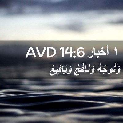 Picture 02 - ١ أخبار 14:6 AVD - وَنُوجَهُ وَنَافَجُ - Bible Verse Picture