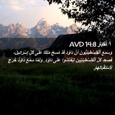 Picture 02 - ١ أخبار 14:8 AVD - وَسَمِعَ - Bible Verse Picture