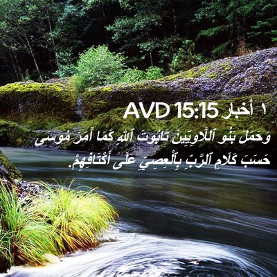 Picture 02 - ١ أخبار 15:15 AVD - وَحَمَلَ بَنُو - Bible Verse Picture