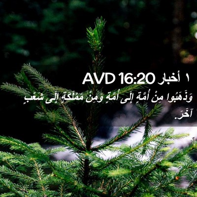 Picture 02 - ١ أخبار 16:20 AVD - وَذَهَبُوا مِنْ أُمَّةٍ - Bible Verse Picture