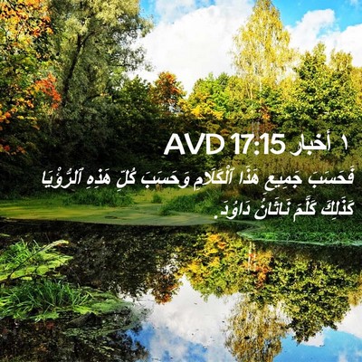 Picture 02 - ١ أخبار 17:15 AVD - فَحَسَبَ جَمِيعِ هَذَا - Bible Verse Picture