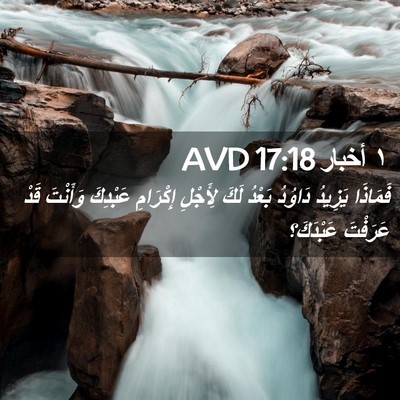Picture 02 - ١ أخبار 17:18 AVD - فَمَاذَا يَزِيدُ دَاوُدُ - Bible Verse Picture